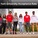 York University Acceptance Rate 2024