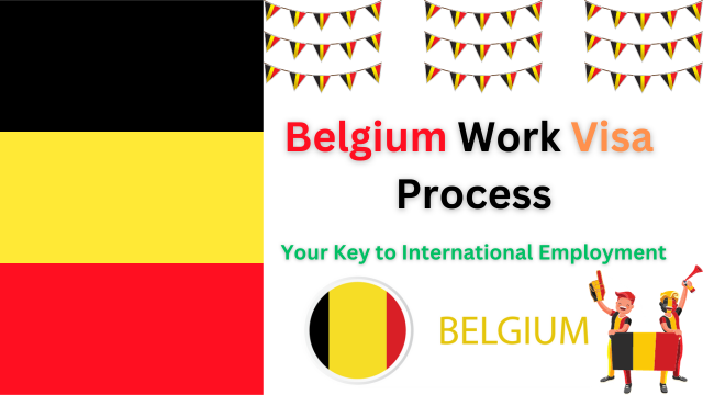 Belgium Work Visa Process