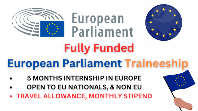 European Parliament Traineeship