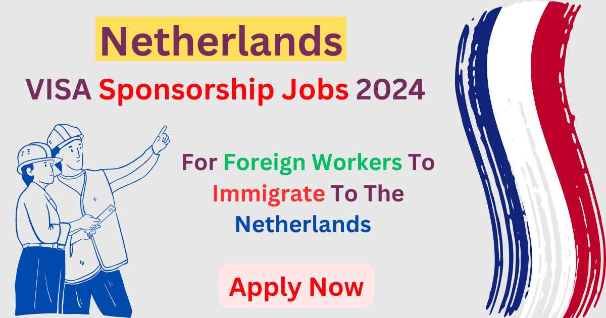 Netherlands VISA Sponsorship Jobs 2024