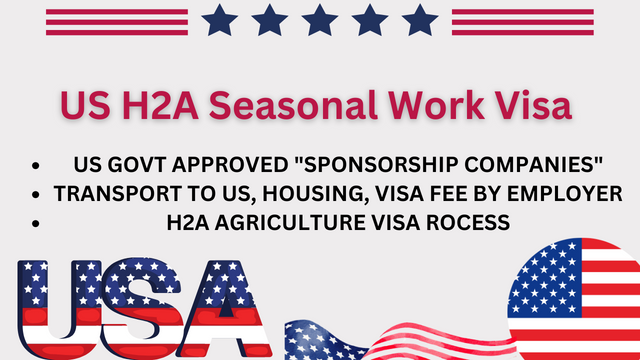 US H2A Seasonal Work Visa