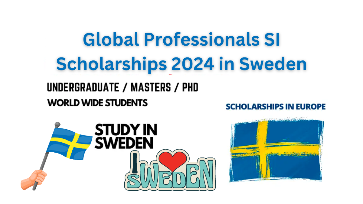 Global Professionals SI Scholarships