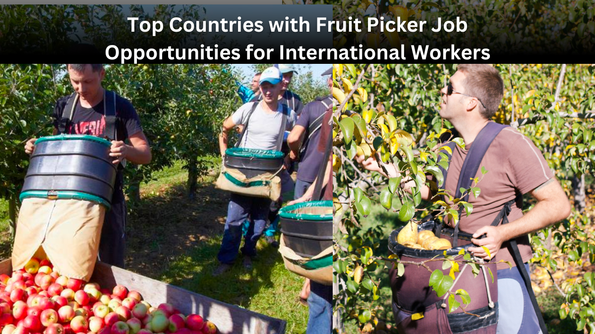 Top Countries with Fruit Picker Job