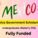 Mexico Government Scholarship