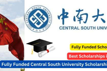 Central South University Scholarship